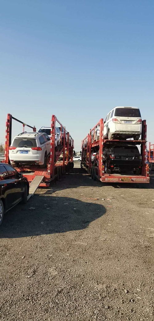 2025年蘭州轎車運車拖車運輸?shù)氖召M